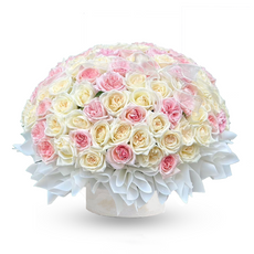 "Sugar Baby" 100 White and Pink Roses in Box